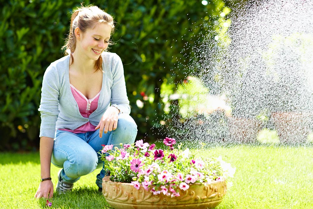 Wasser und Genuss im Sommergarten